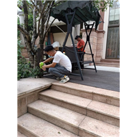 古镇灭白蚁