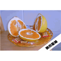广东黄金蜜柚苗，东莞黄金蜜柚苗，东莞果苗场 