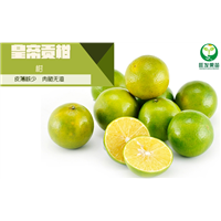 惠州皇帝柑苗价格，惠州皇帝柑苗，惠州果苗 