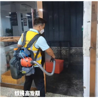温州专业杀虫公司