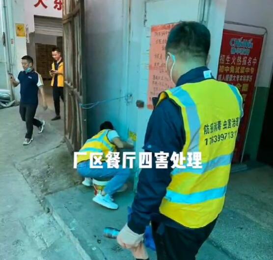 温州除白蚁公司