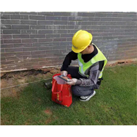 温州专业杀虫公司