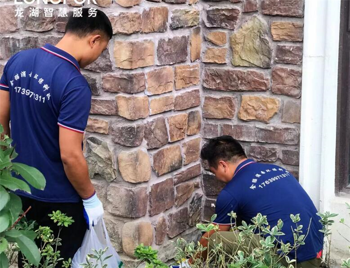 温州灭白蚁公司