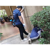温州灭四害公司哪家好