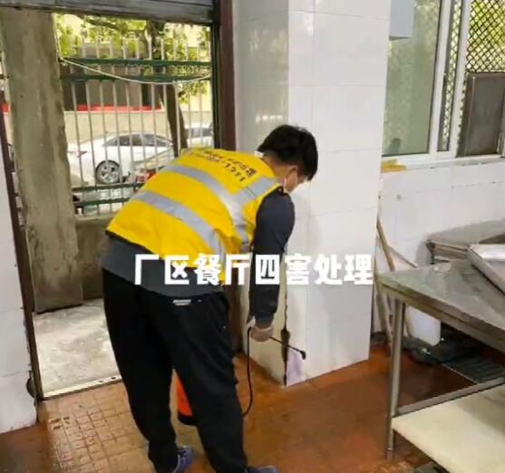 温州消杀公司电话