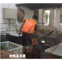 温州杀虫公司