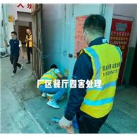 温州除白蚁公司