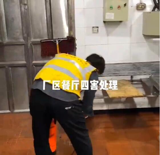 温州白蚁消杀公司
