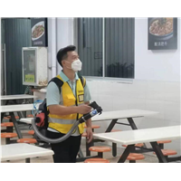 温州除白蚁公司电话