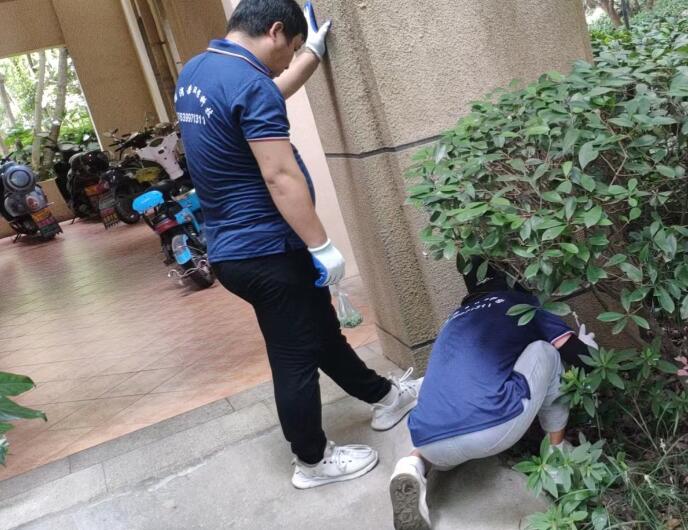 温州灭四害公司哪家好