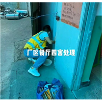 温州灭蟑螂灭老鼠电话