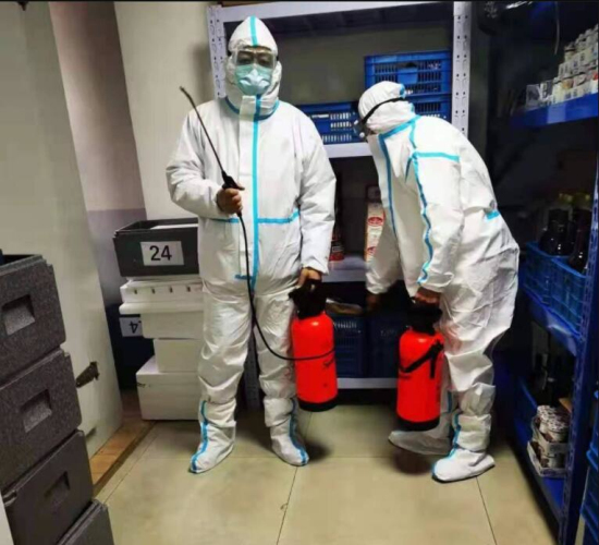 温州白蚁防治所家庭的白蚁防治方法