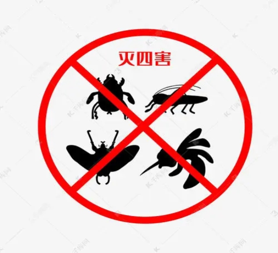 温州白蚁防治公司教你遇到白蚁该如何去处理