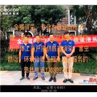 温州灭鼠
