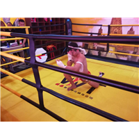 贵阳泰拳 