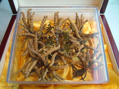 南通冬虫夏草回收 