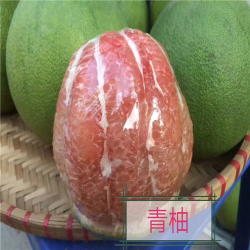 深圳四季青皮红心柚子苗，深圳红心柚子苗 