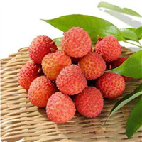 湛江桂味荔枝苗，湛江荔枝苗，湛江果树苗 