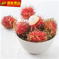 东莞红毛丹荔枝苗，东莞红毛丹荔枝苗批发 