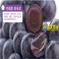 深圳巨锋葡萄苗，深圳葡萄苗 