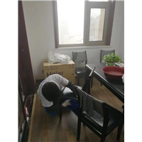咸阳专业除甲醛除异味公司
