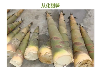 从化农家乐哪里好吃@从化吕田农家乐 