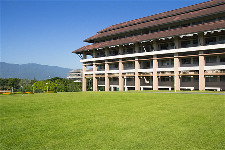 江西德兴羽毛球场草皮一平方价格多少钱