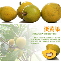 广东鸡蛋果苗基地，广东鸡蛋果苗批发 