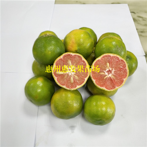 台湾红肉柠檬，湖南红肉柠檬苗价格，湖南红肉柠檬苗批发 
