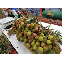 深圳一日游景点 
