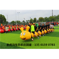 鹏润拓展训练学院趣味运动会 