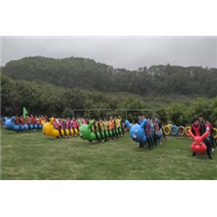 挥动激情●放飞梦想 鹏润休闲团建精英团队趣味运动会 
