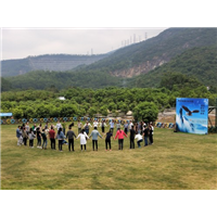 深圳农家乐旅游公司团体价格 