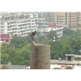 成都拆除 
