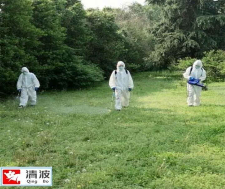 荆州杀虫公司