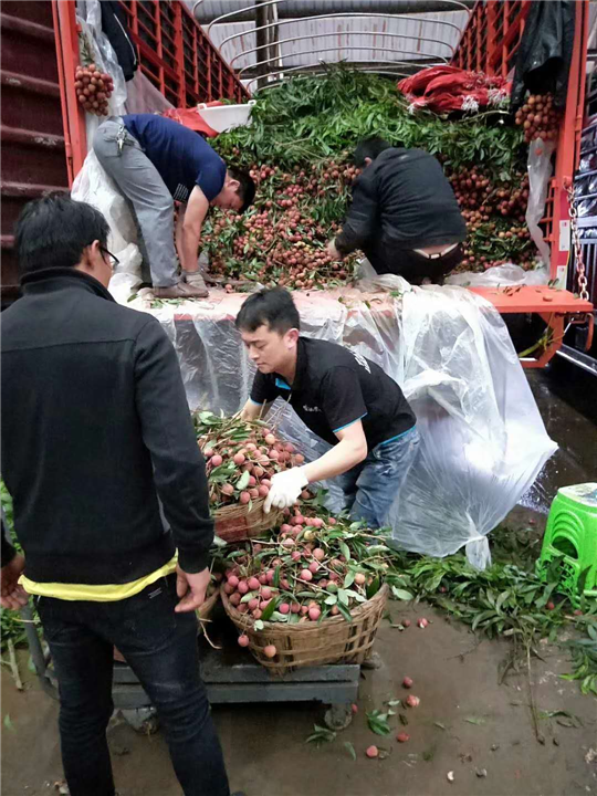 贵阳蔬菜代办 