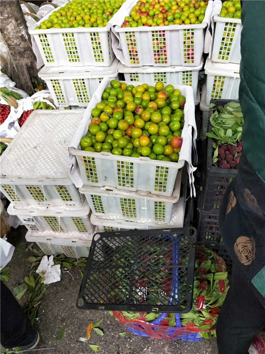 贵阳水果价格 