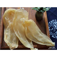 专业鱼翅回收 