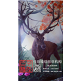 濮阳餐厅彩绘