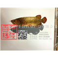 安阳彩绘-安阳3D壁画