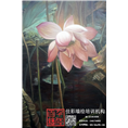 安阳墙**绘