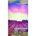 安阳宾馆墙绘