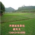 河源诚信草场地址、电话、地图 