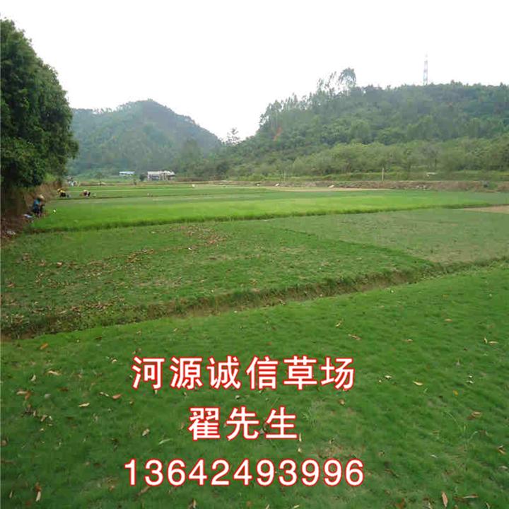 河源诚信草场地址、电话、地图 