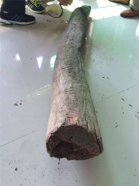 海南黄花梨老圆木回收 