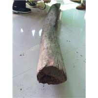 海南花梨木圆木回收|海南花梨木原木回收 