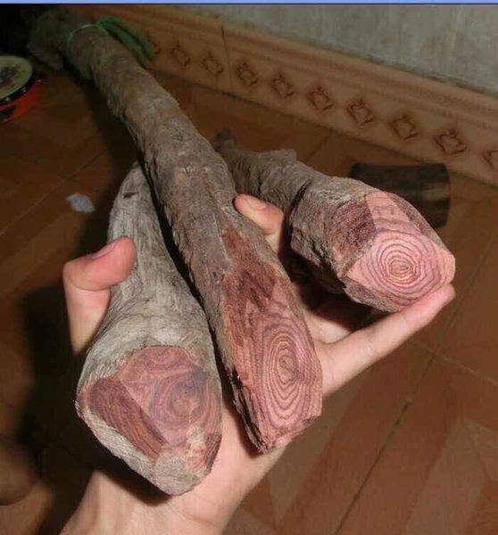 海南黄花梨算盘回收|海南黄花梨佛珠回收
