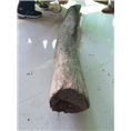海南黄花梨老圆木回收 