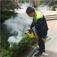 兰州抓老鼠兰州灭老鼠日升有害生物防治