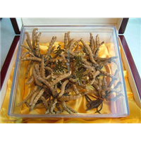 张家港虫草回收价格 